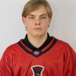 Uladzislau Virinksy